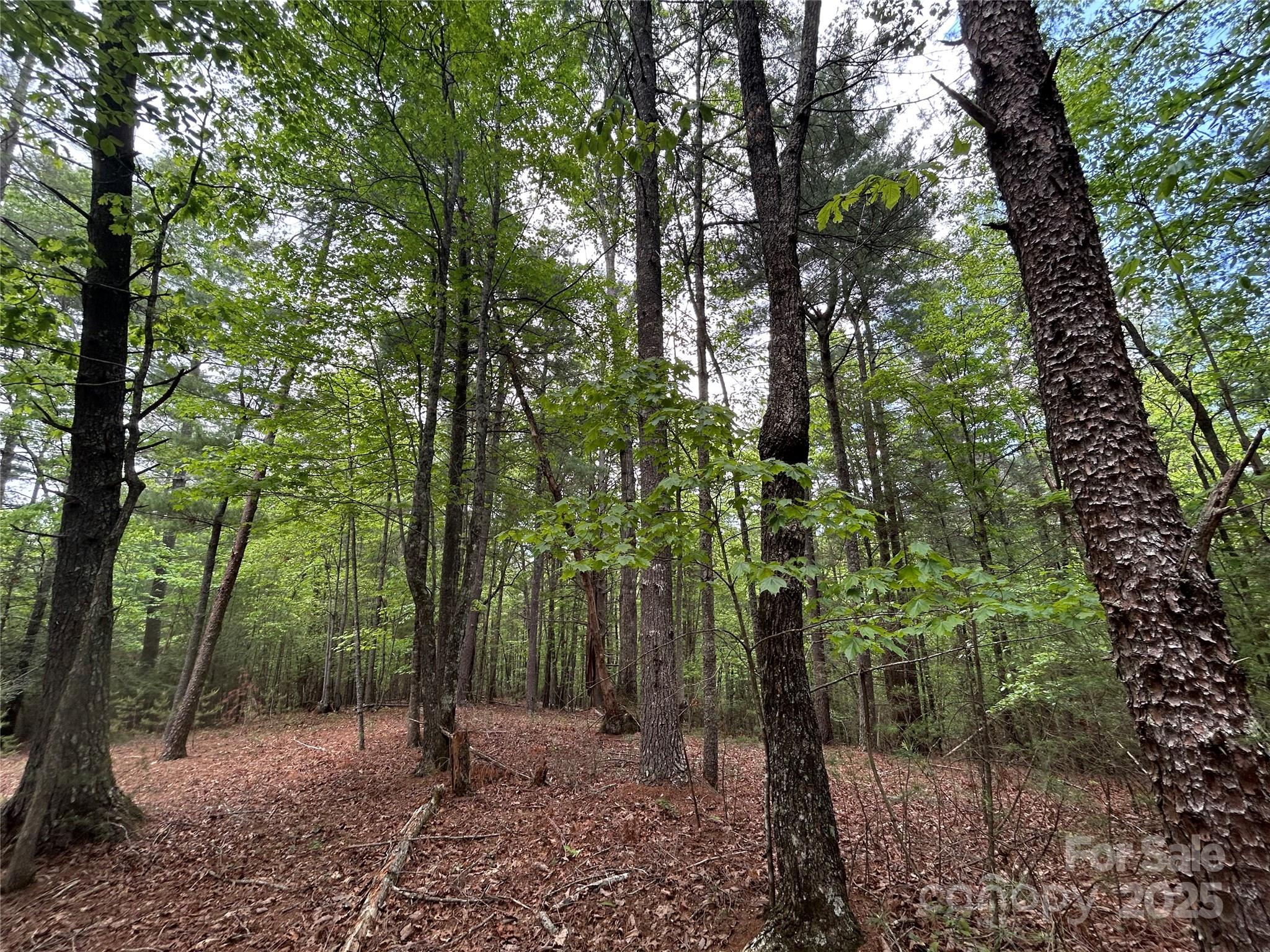2140 Obeth Road, Unit 84 Nebo, NC 28761 - Photo 11 of 11 Gallery Image 11