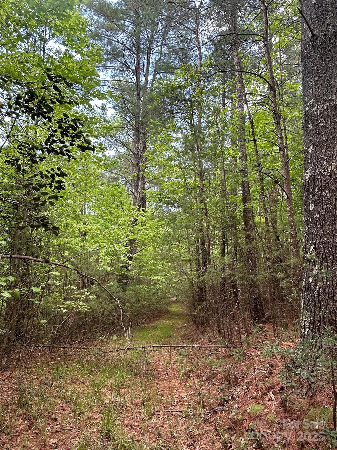 2140 Obeth Road, Unit 84 Nebo, NC 28761 - Photo 9 of 11 Gallery Image 9