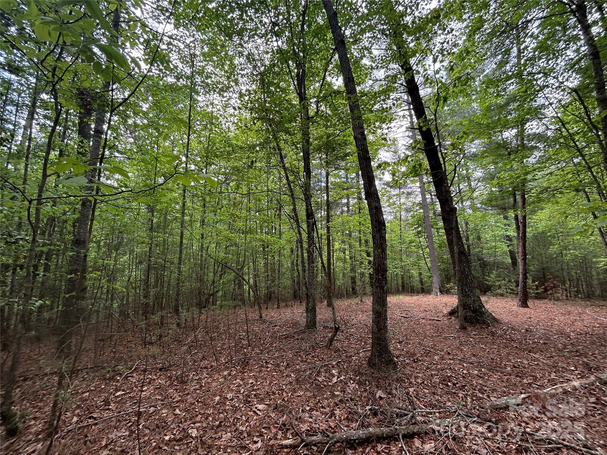 2140 Obeth Road, Unit 84 Nebo, NC 28761 - Photo 10 of 11 Gallery Image 10