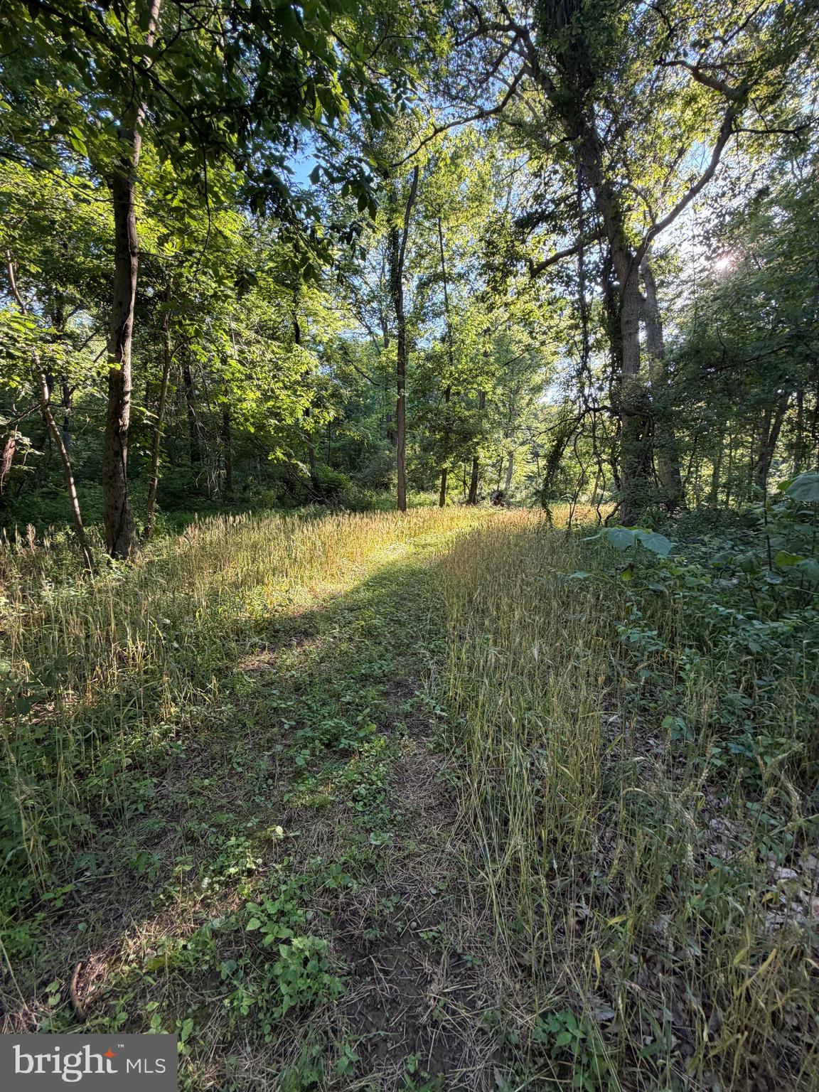 16621 Lappans Road Williamsport, MD 21795 - Photo 80 of 84 Trails!