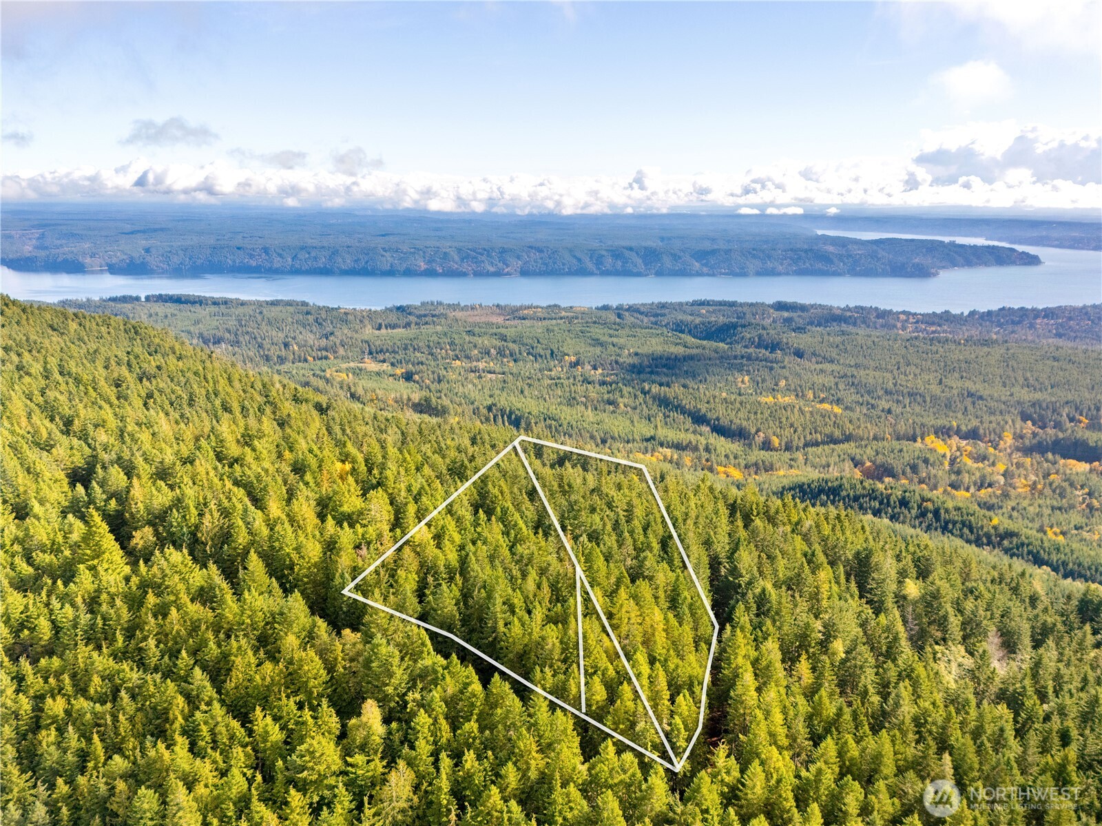 a view of an ocean and a mountain