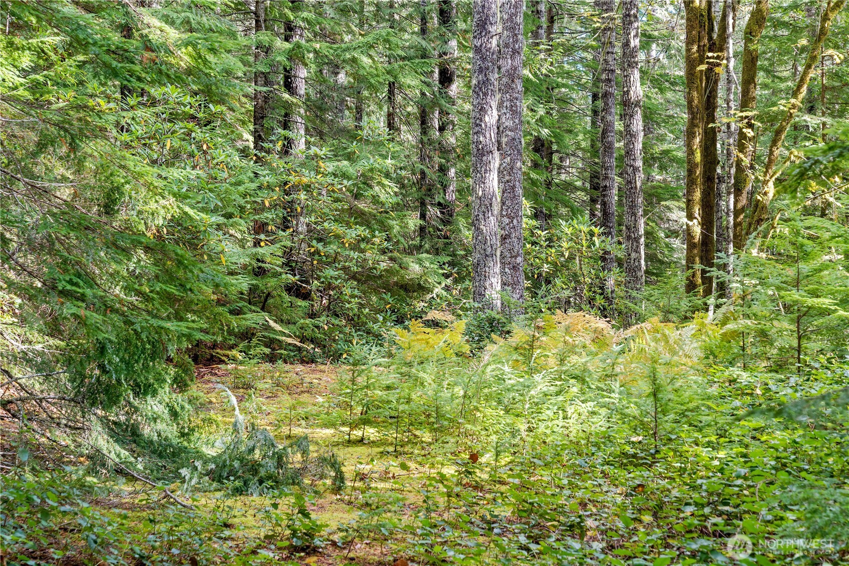 1350 North Hilltop Loop Road Hoodsport, WA 98548 - Photo 11 of 29 a view of a garden