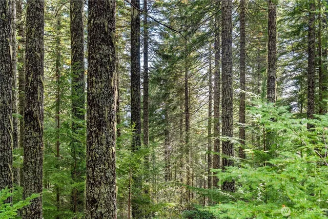 a view of outdoor space and garden