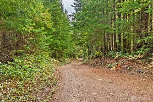 a view of outdoor space and garden