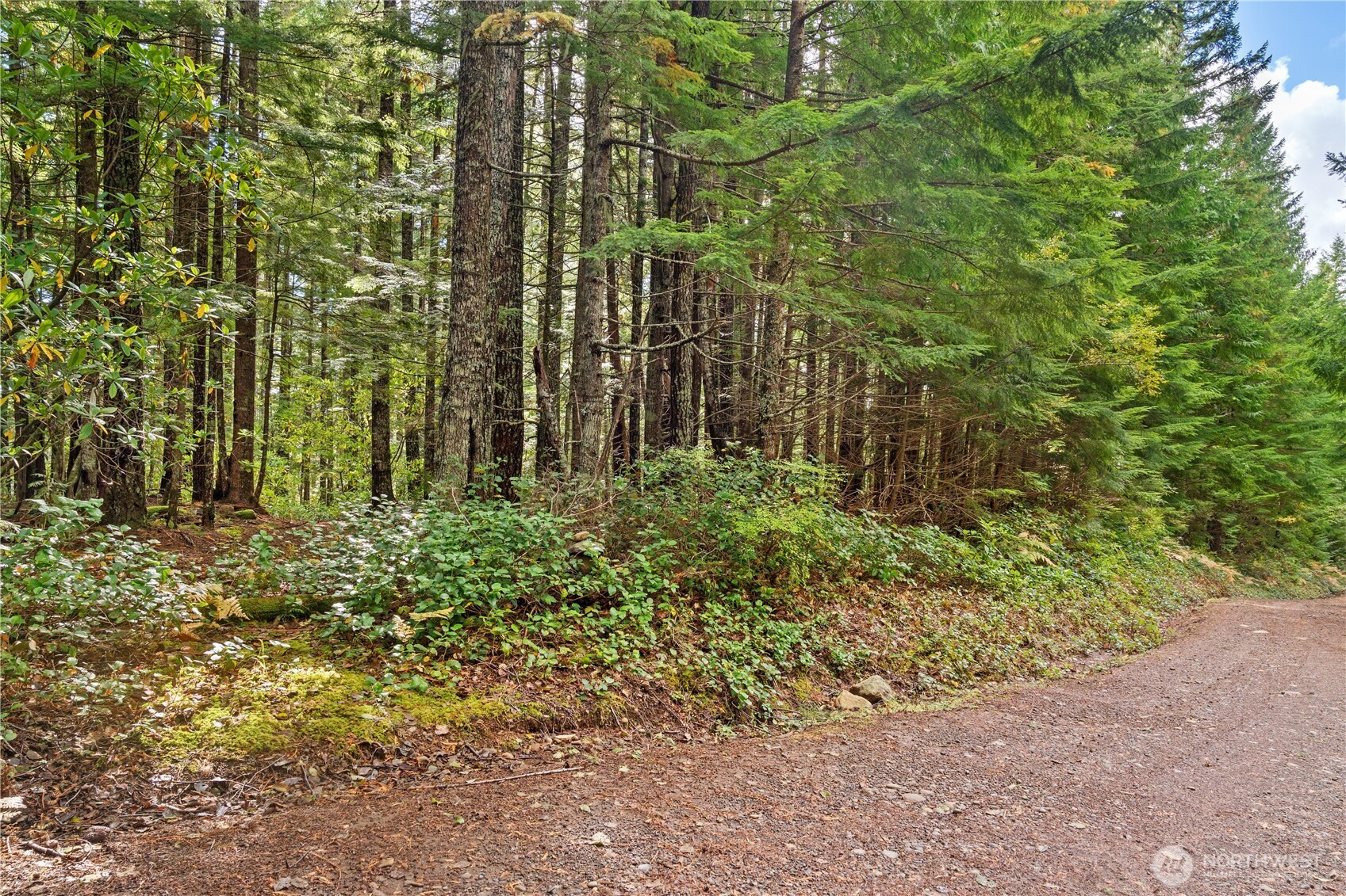 1350 North Hilltop Loop Road Hoodsport, WA 98548 - Photo 18 of 29 a garden view