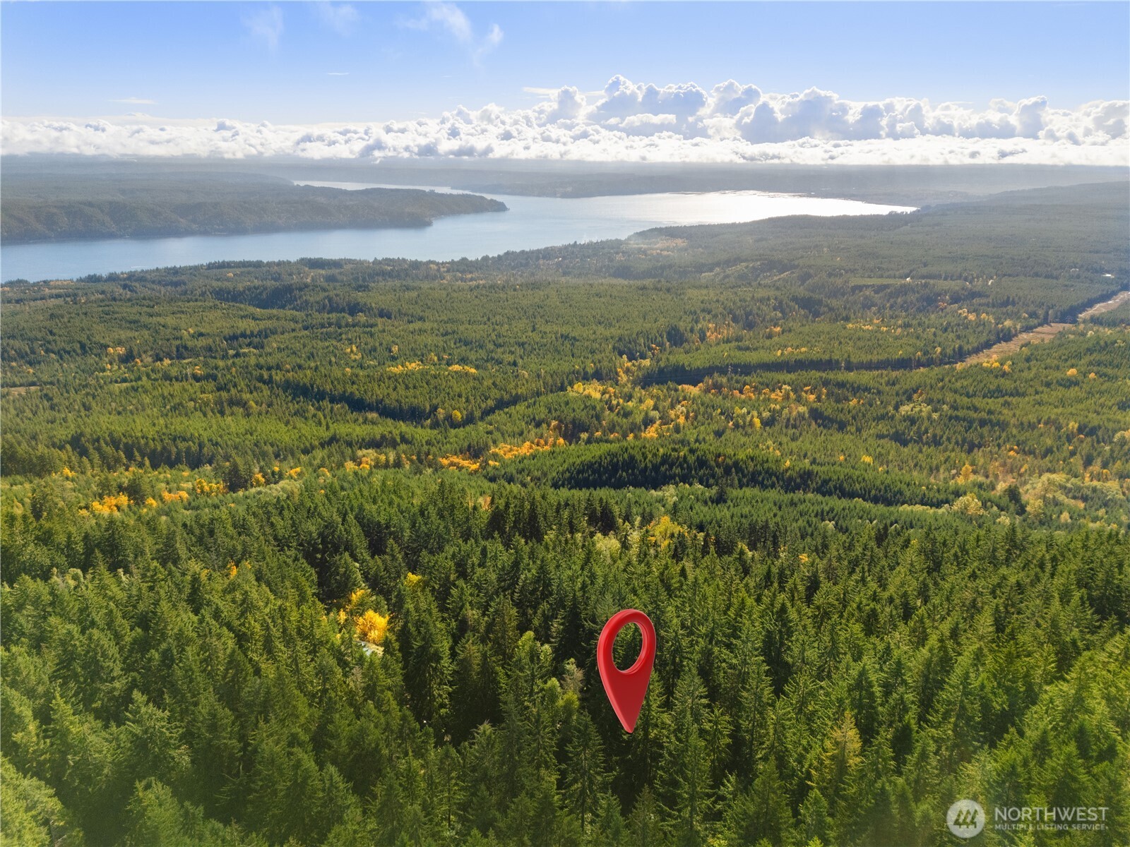 1350 North Hilltop Loop Road Hoodsport, WA 98548 - Photo 2 of 29 a view of a city