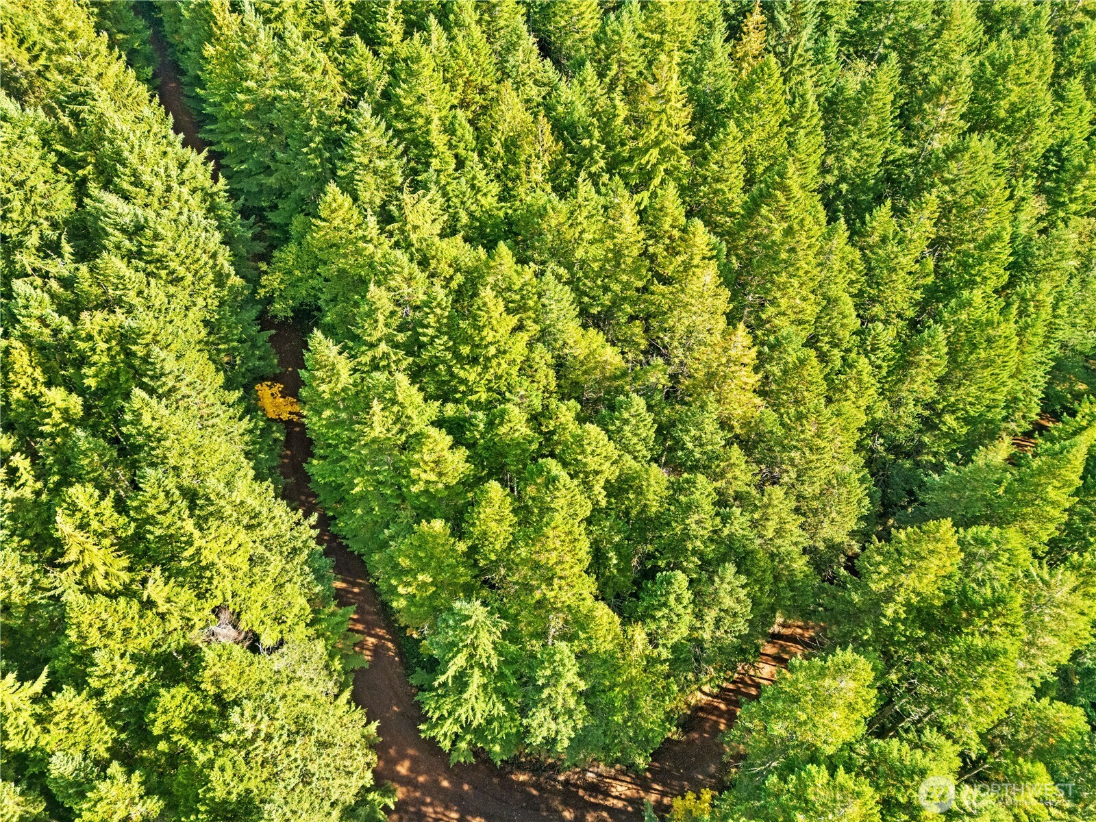 1350 North Hilltop Loop Road Hoodsport, WA 98548 - Photo 21 of 29 a view of a lush green field