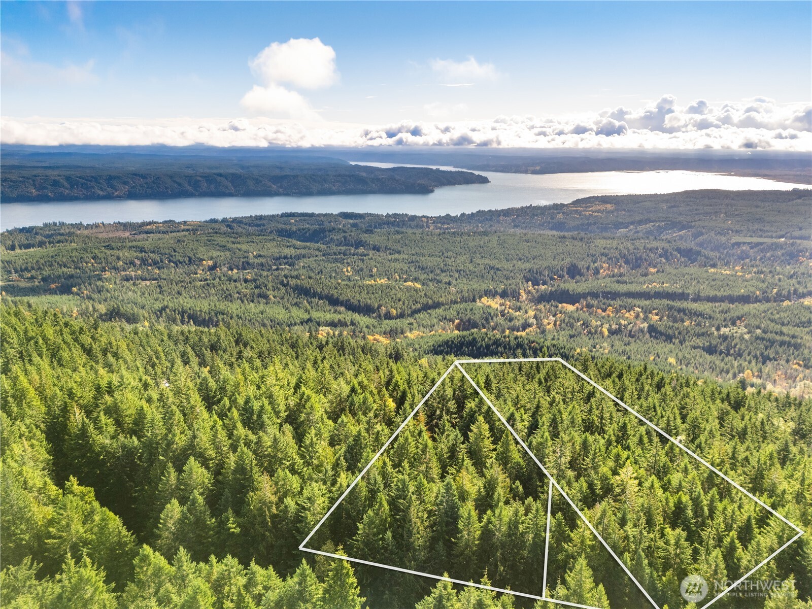 1350 North Hilltop Loop Road Hoodsport, WA 98548 - Photo 23 of 29 a view of an ocean