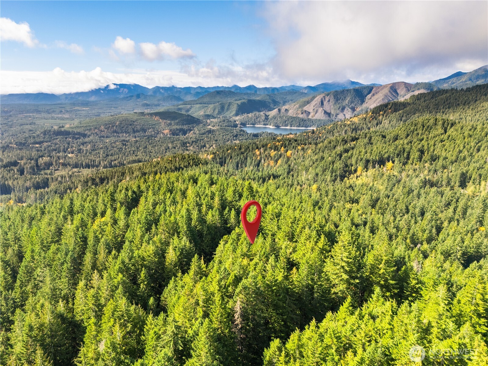 1350 North Hilltop Loop Road Hoodsport, WA 98548 - Photo 25 of 29 a view of a lush green forest with mountains in the background