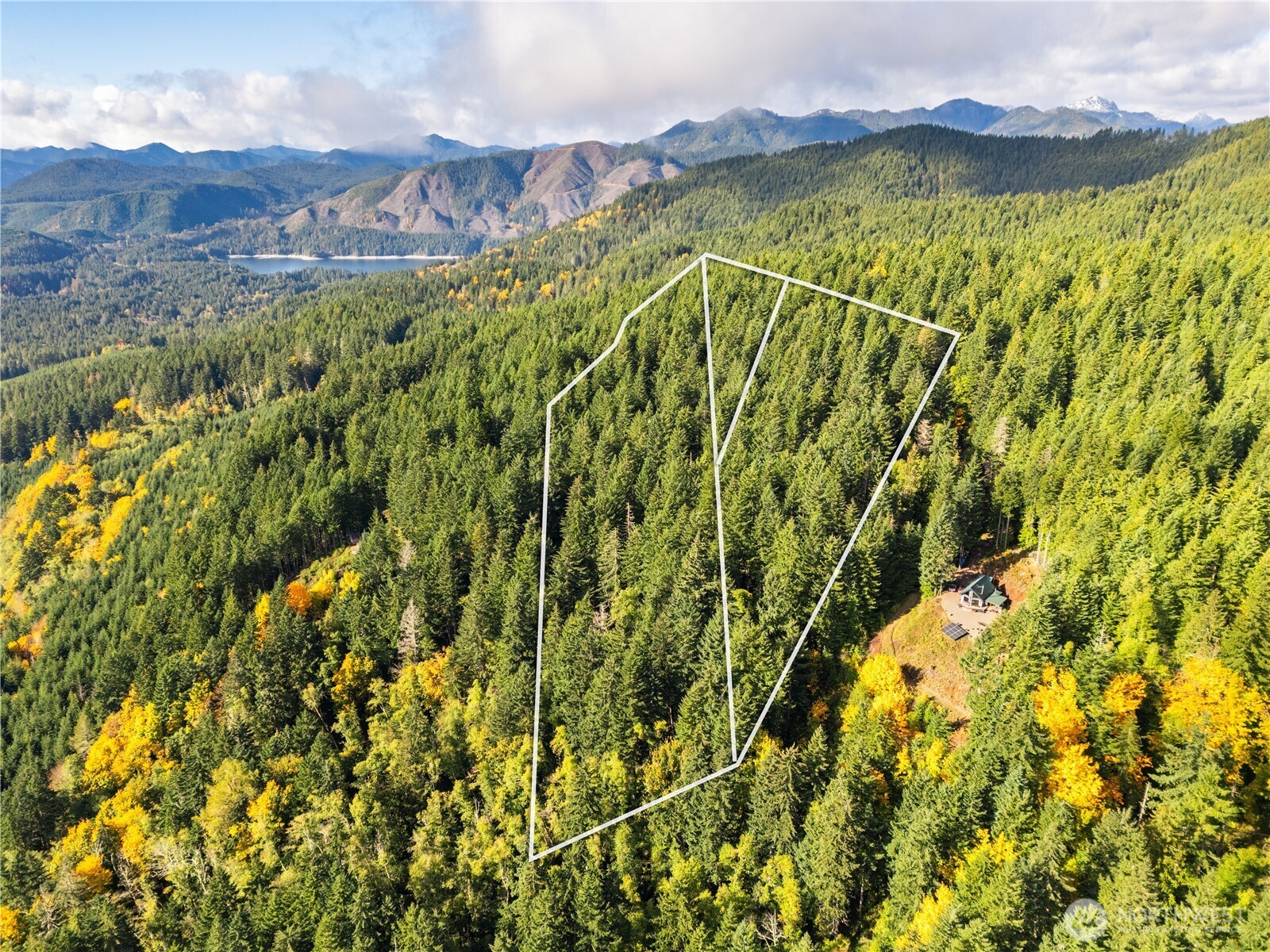 1350 North Hilltop Loop Road Hoodsport, WA 98548 - Photo 26 of 29 a view of a yard