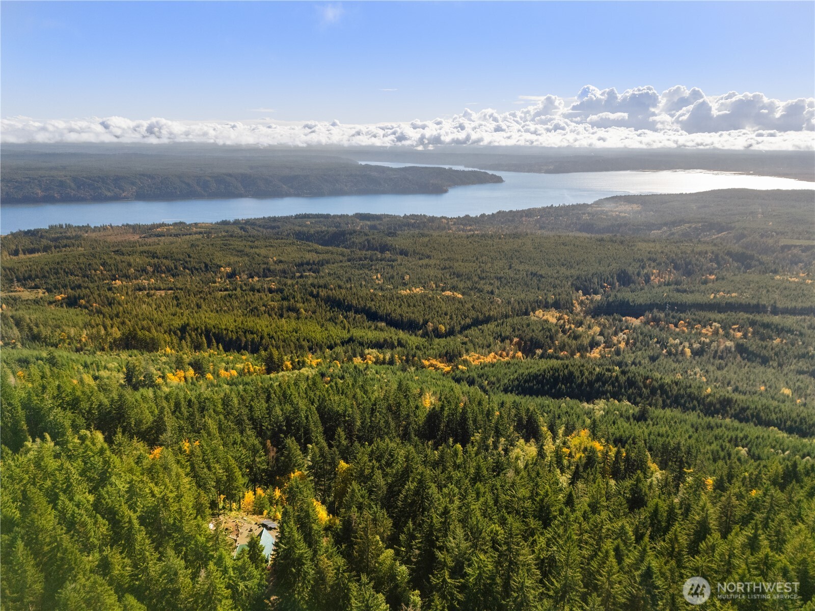 1350 North Hilltop Loop Road Hoodsport, WA 98548 - Photo 27 of 29 a view of city and mountain