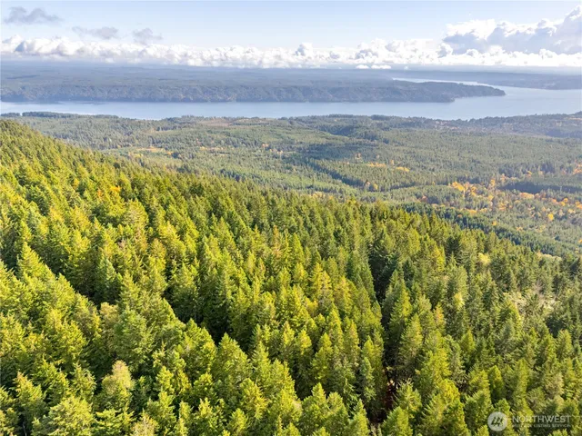 a view of a bunch of green space