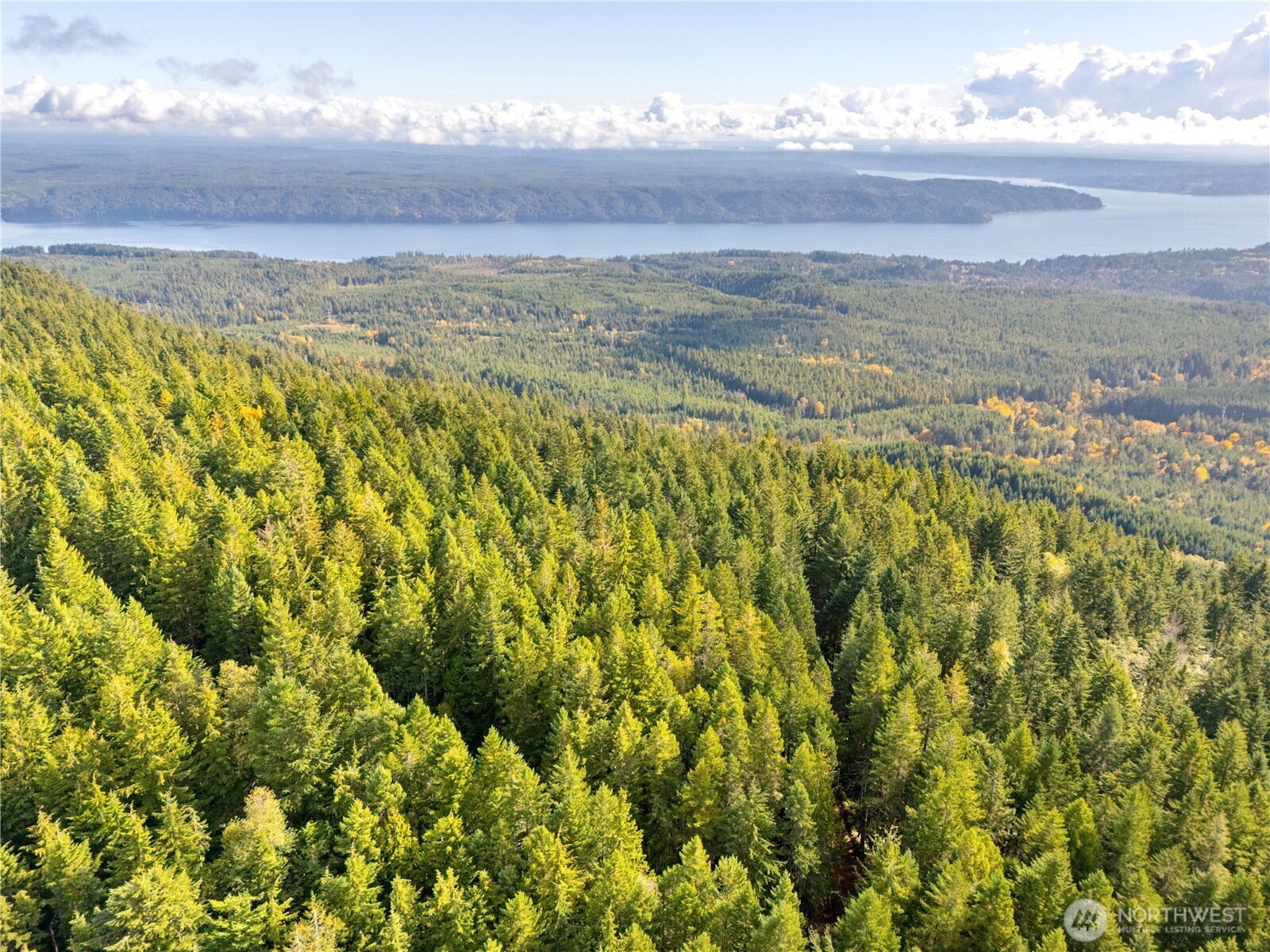 1350 North Hilltop Loop Road Hoodsport, WA 98548 - Photo 28 of 29 a view of mountain with lake view