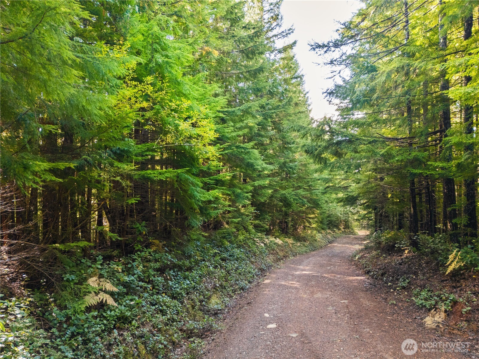 1350 North Hilltop Loop Road Hoodsport, WA 98548 - Photo 3 of 29 a backyard of a house with lots of green space and garden