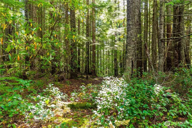 a view of outdoor space and garden