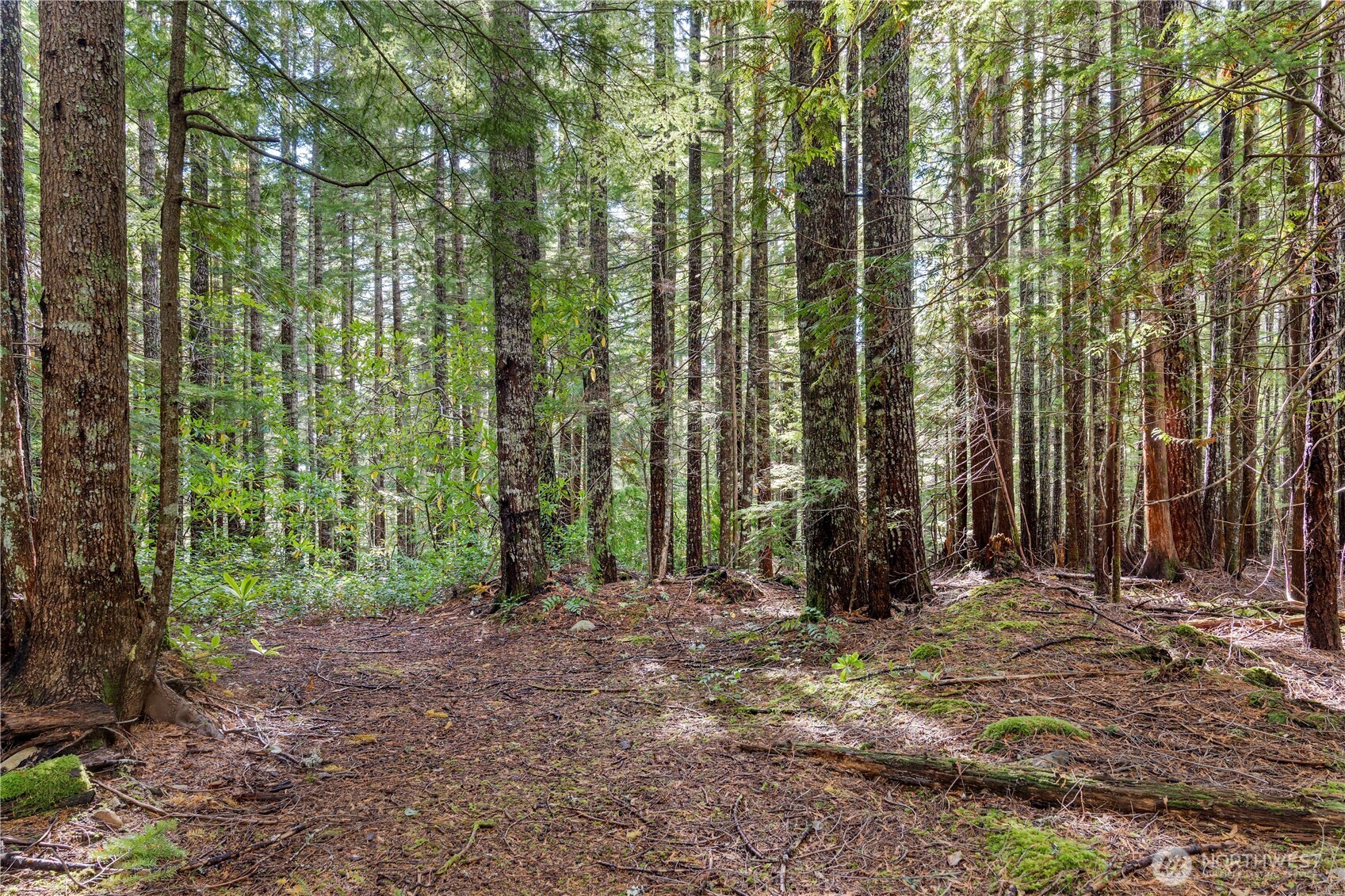 1350 North Hilltop Loop Road Hoodsport, WA 98548 - Photo 7 of 29 a view of outdoor space and garden
