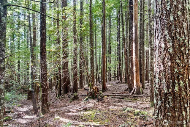 a view of outdoor space and garden
