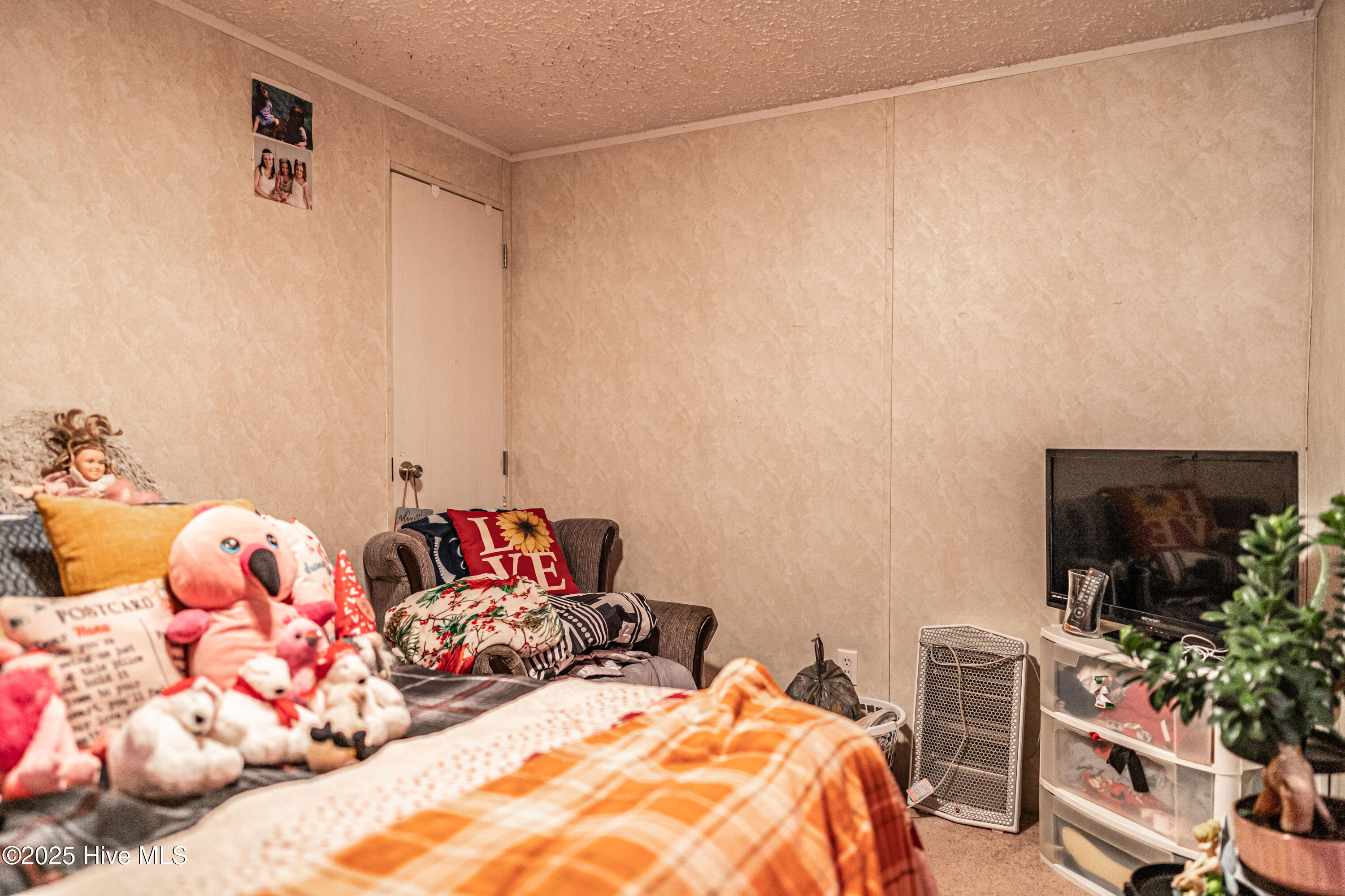 408 Wiregrass Road Hamlet, NC 28345 - Photo 21 of 32 DSC04116