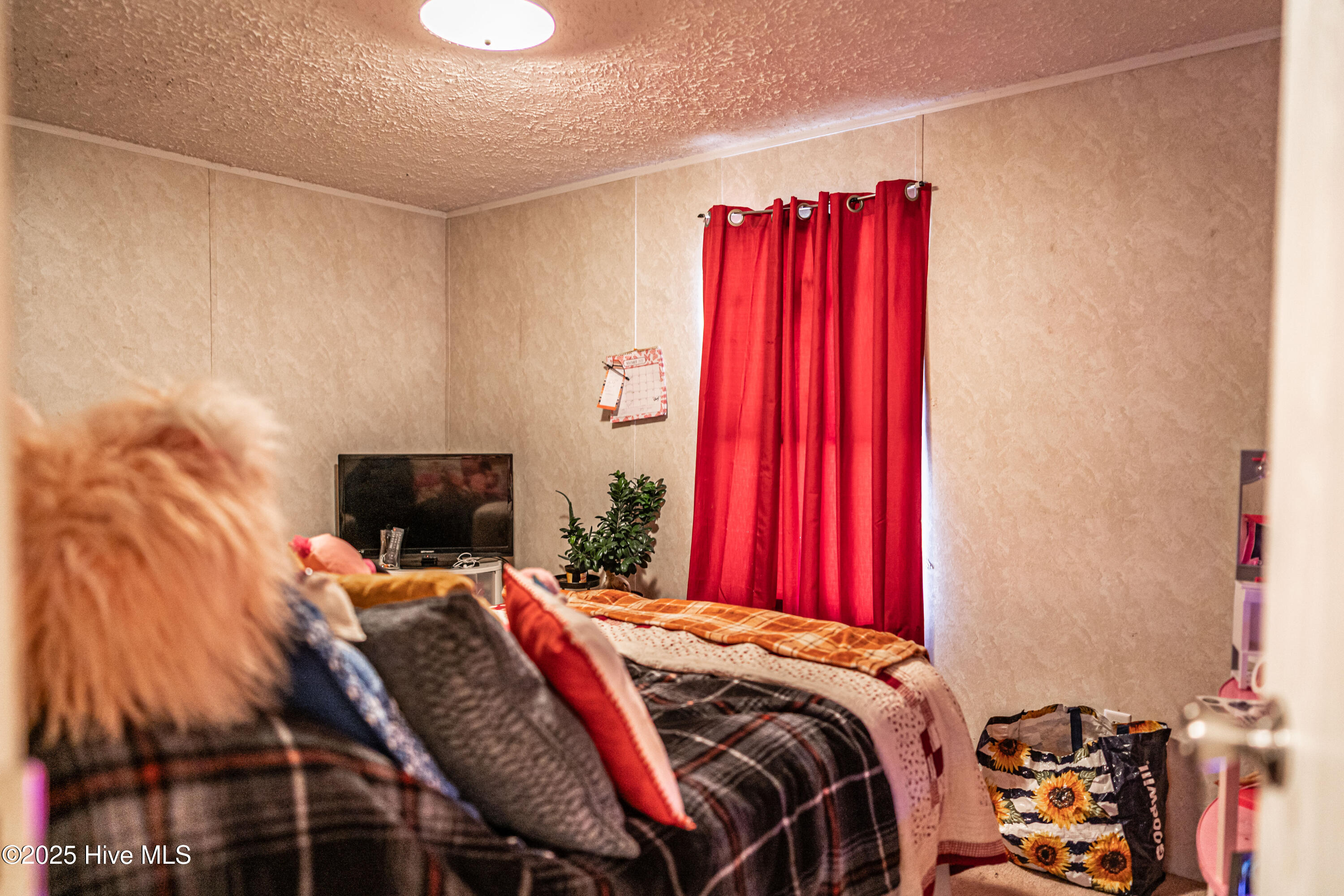 408 Wiregrass Road Hamlet, NC 28345 - Photo 32 of 32 DSC04114