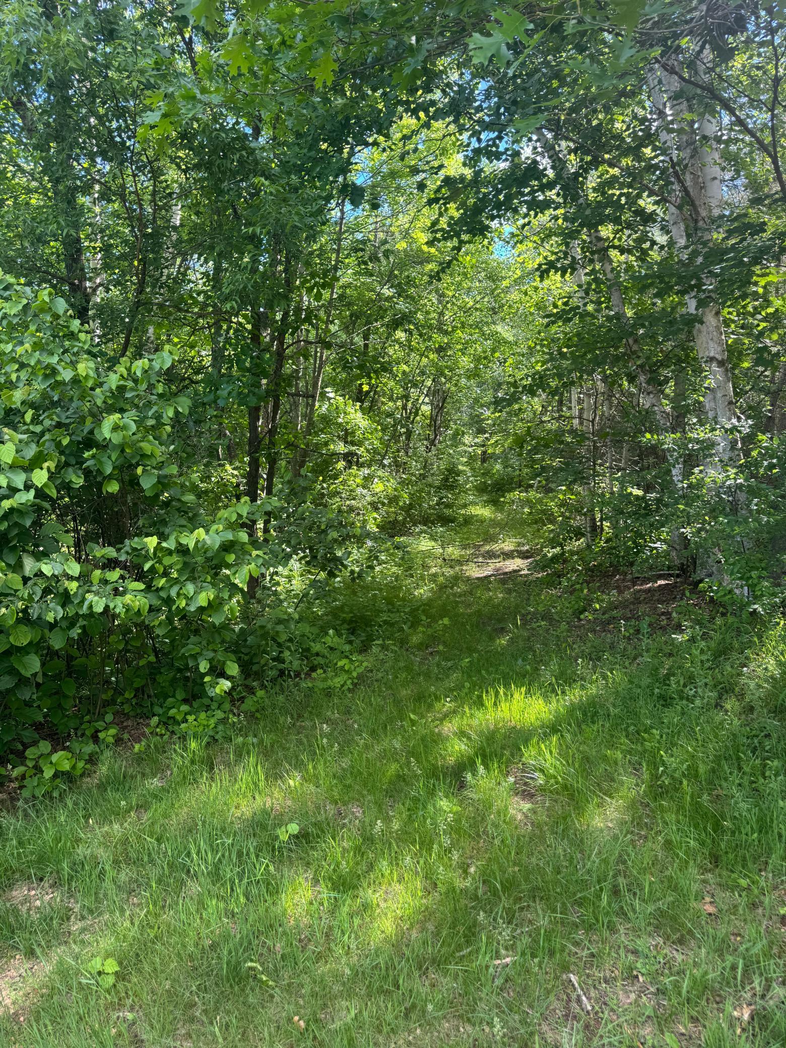 49382 Pansy Landing Road Sandstone, MN 55072 - Photo 6 of 36