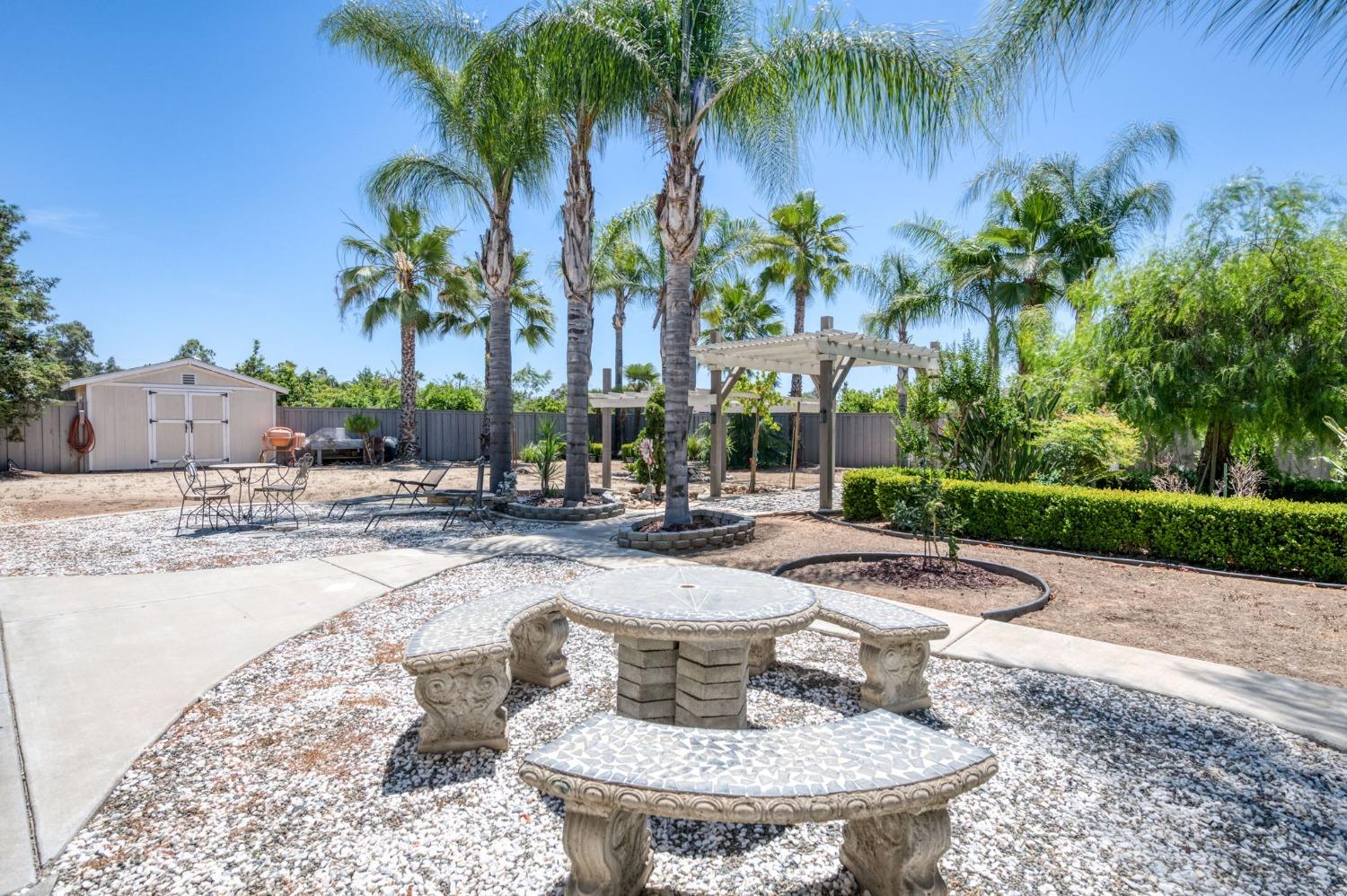 25106 Ave 18 Madera, CA 93638 - Photo 34 of 66 a view of a backyard with plants and palm tree