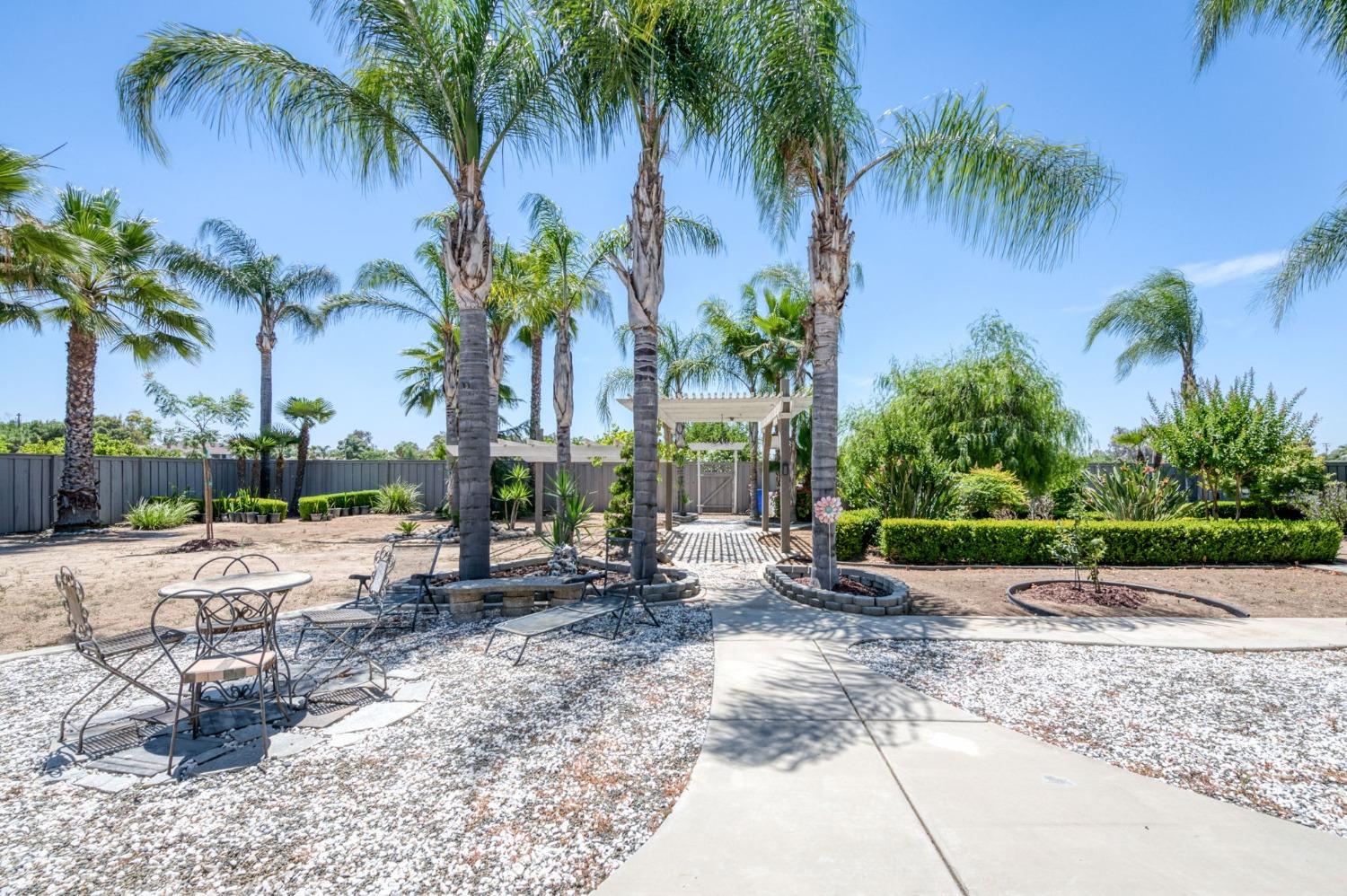 25106 Ave 18 Madera, CA 93638 - Photo 37 of 66 a row of palm trees sitting in a backyard with palm trees