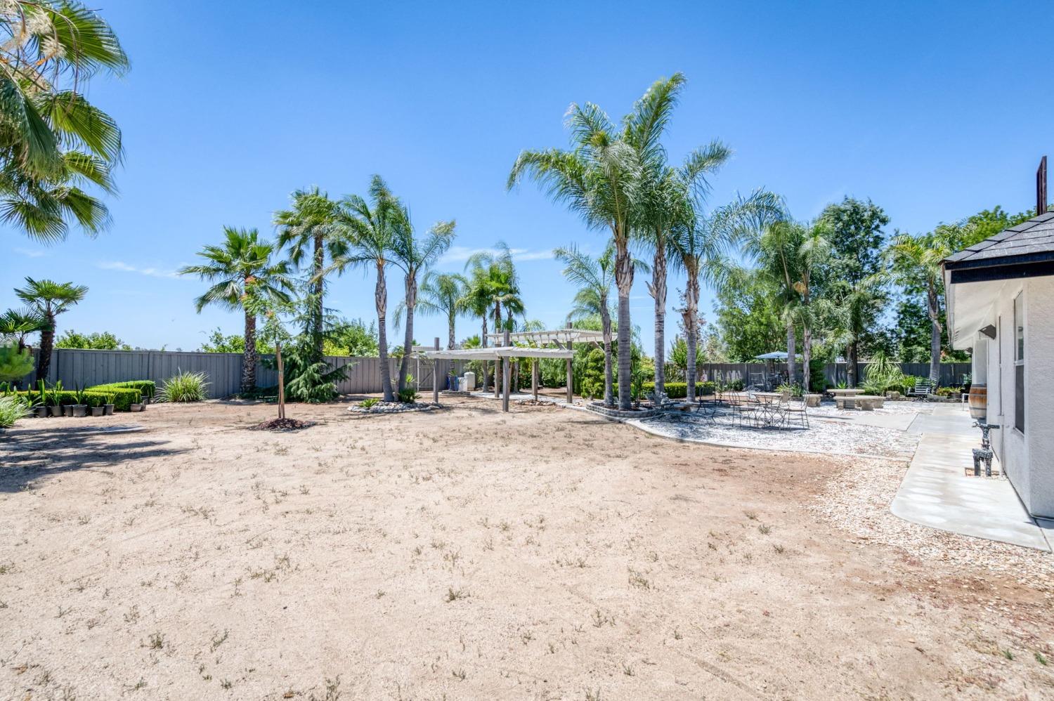 25106 Ave 18 Madera, CA 93638 - Photo 39 of 66 a palm tree sitting in front of a house with a yard