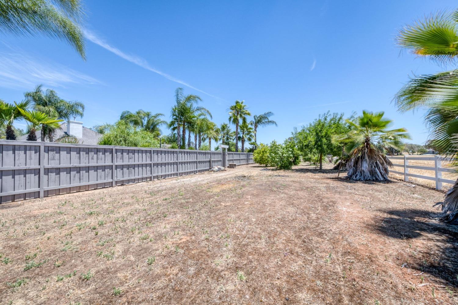 25106 Ave 18 Madera, CA 93638 - Photo 46 of 66 a view of a backyard with a garden