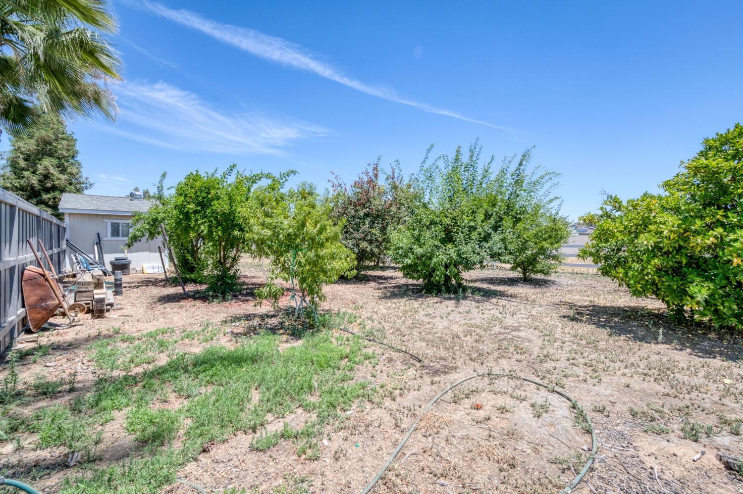 25106 Ave 18 Madera, CA 93638 - Photo 47 of 66 a view of a backyard with plants and a tree