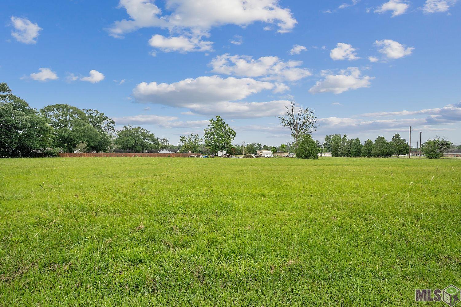Tbd Oneal Road Gonzales, LA 70737 - Photo 1 of 9