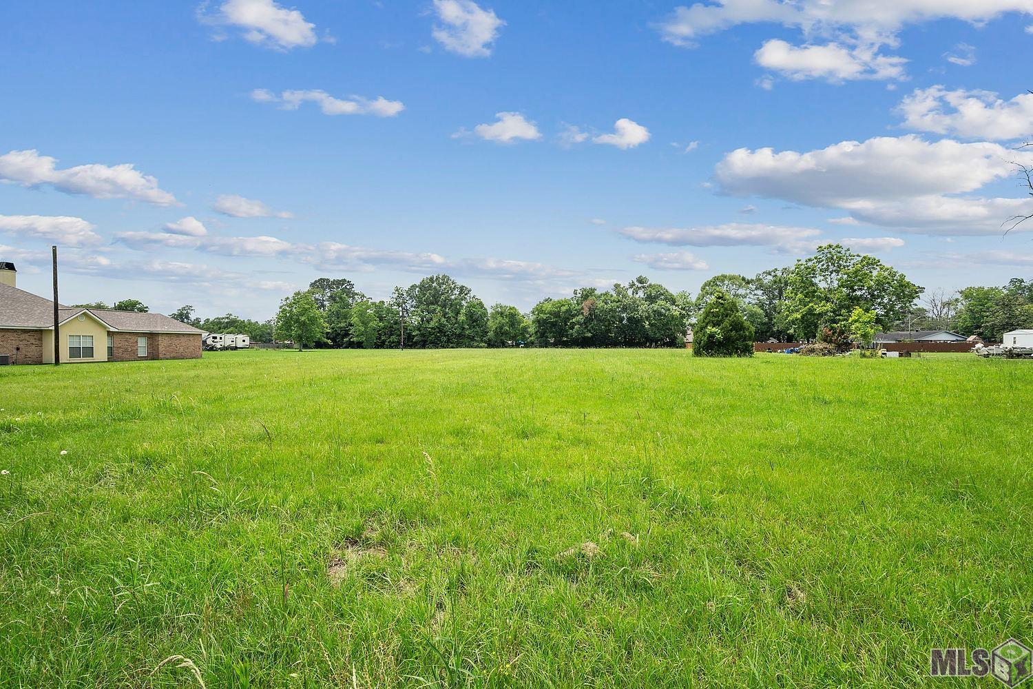 Tbd Oneal Road Gonzales, LA 70737 - Photo 5 of 9