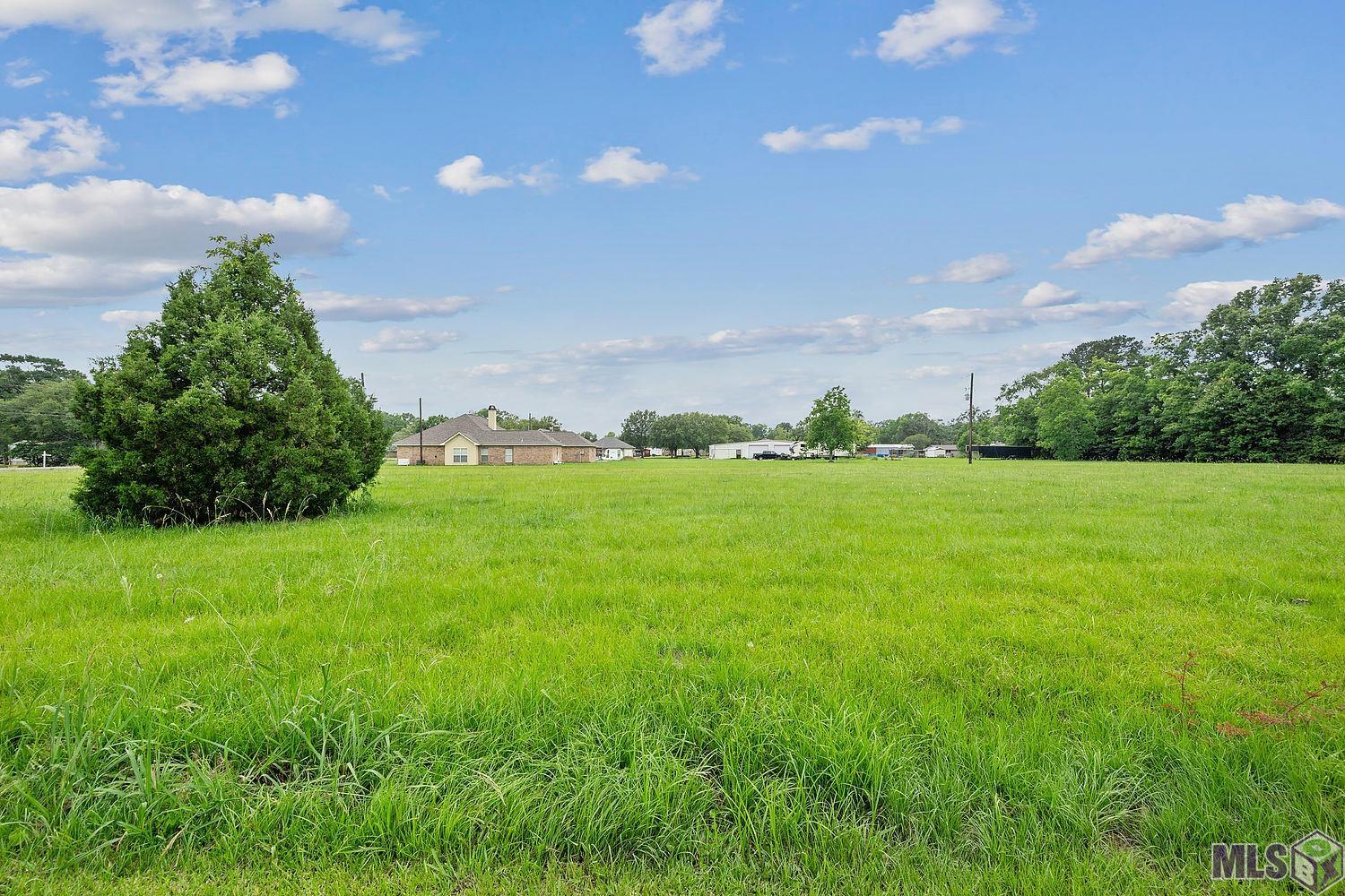 Tbd Oneal Road Gonzales, LA 70737 - Photo 6 of 9