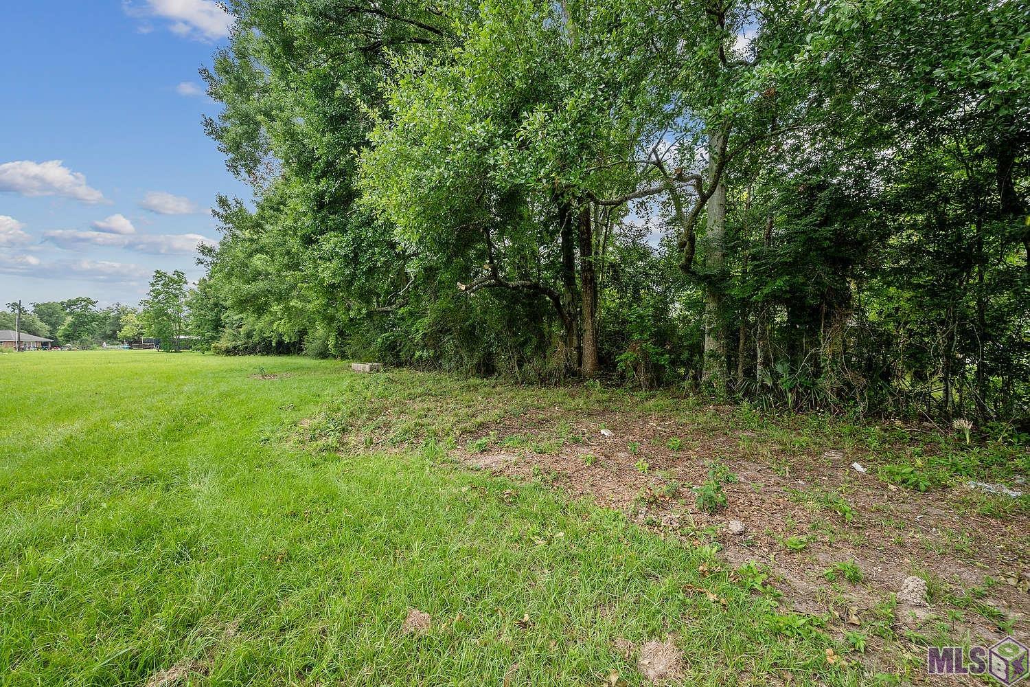 Tbd Oneal Road Gonzales, LA 70737 - Photo 7 of 9