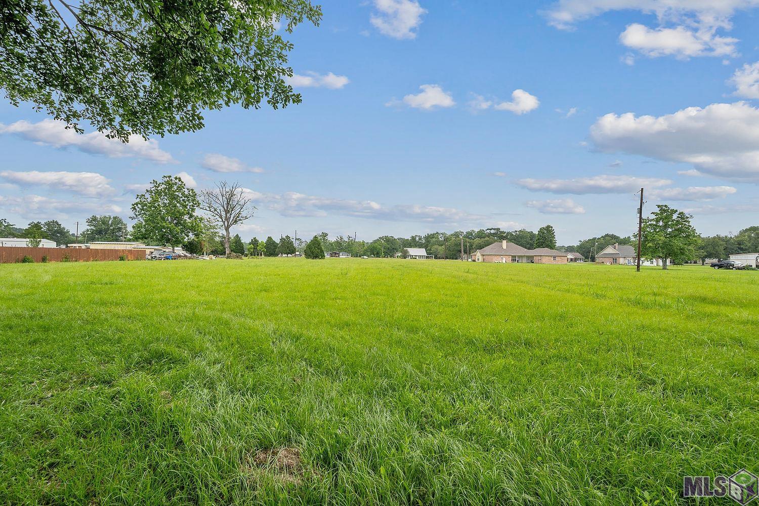 Tbd Oneal Road Gonzales, LA 70737 - Photo 8 of 9