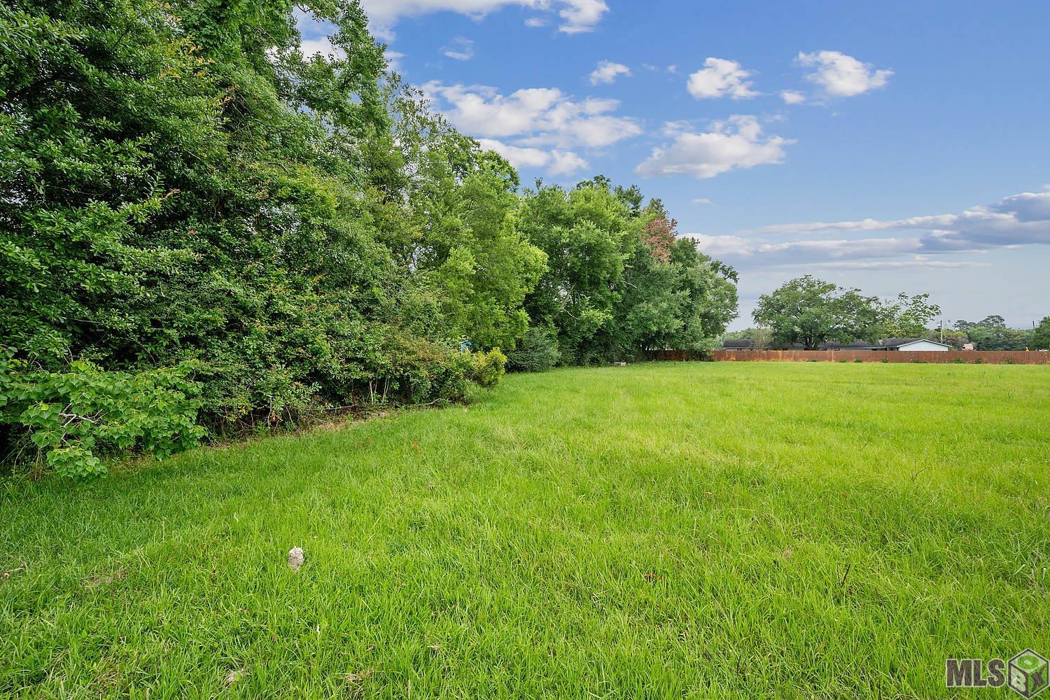 Tbd Oneal Road Gonzales, LA 70737 - Photo 9 of 9