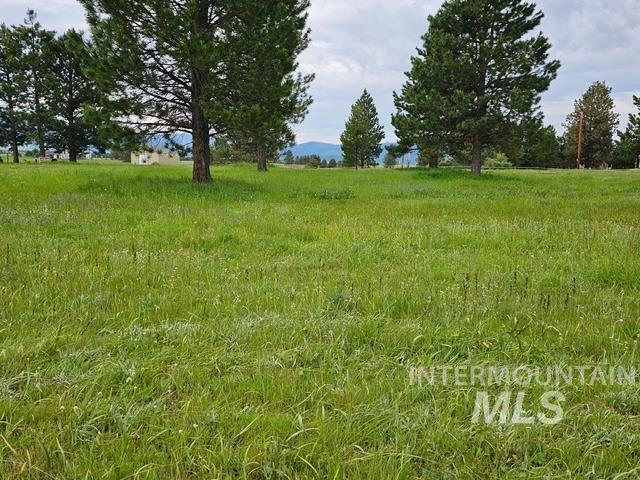 15 Rising Lane Cascade, ID 83611 - Photo 20 of 24
