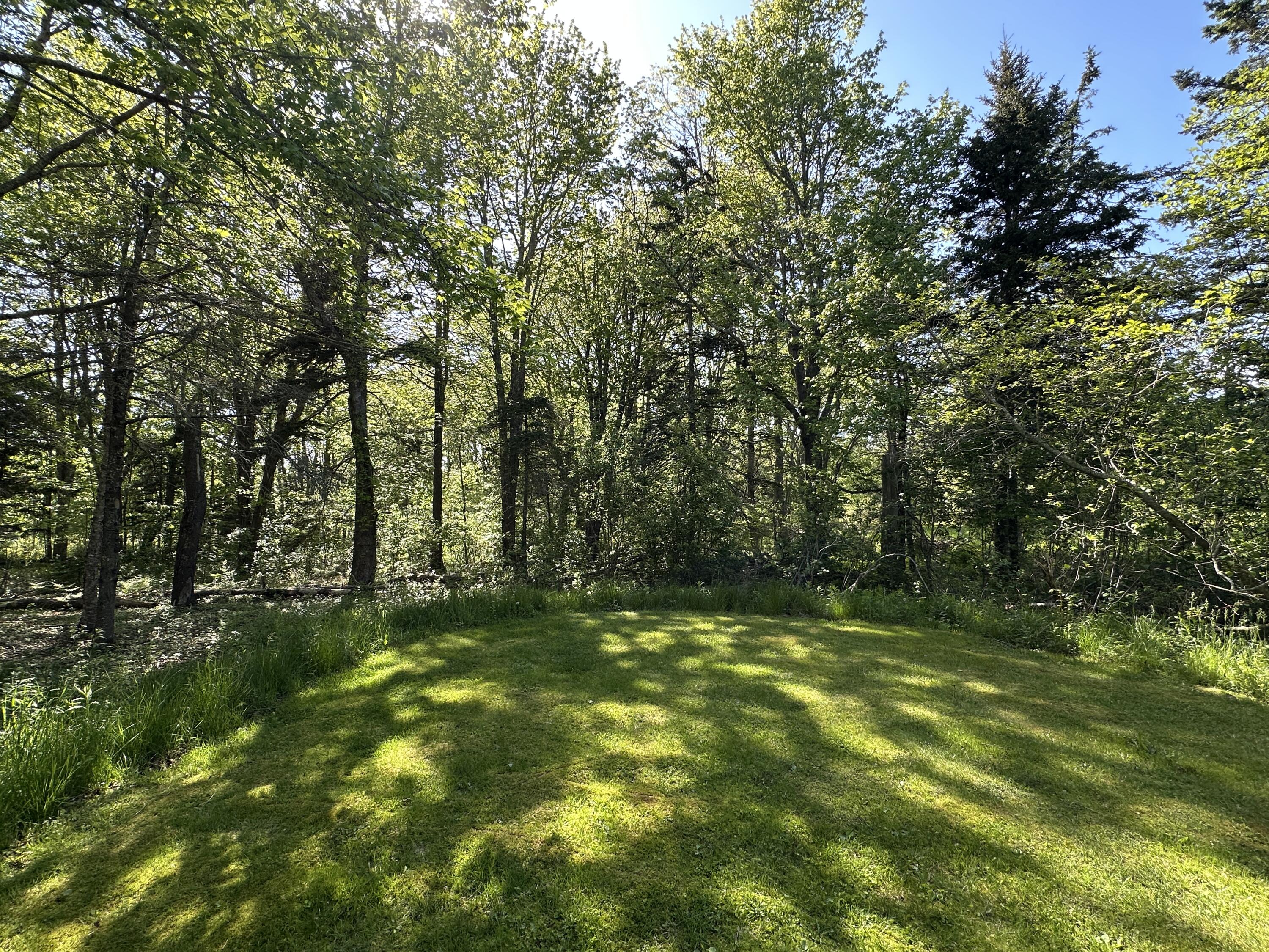 627 Port Clyde Road St. George, ME 04860 - Photo 7 of 58 Yard