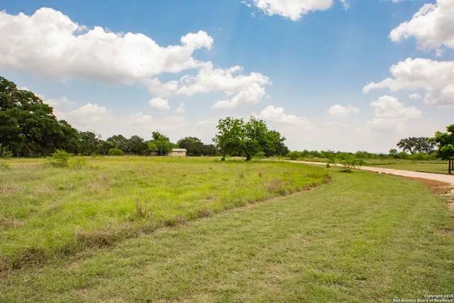 a view of yard with trees