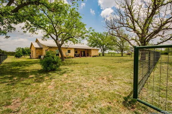 a view of a yard with plants and large tree