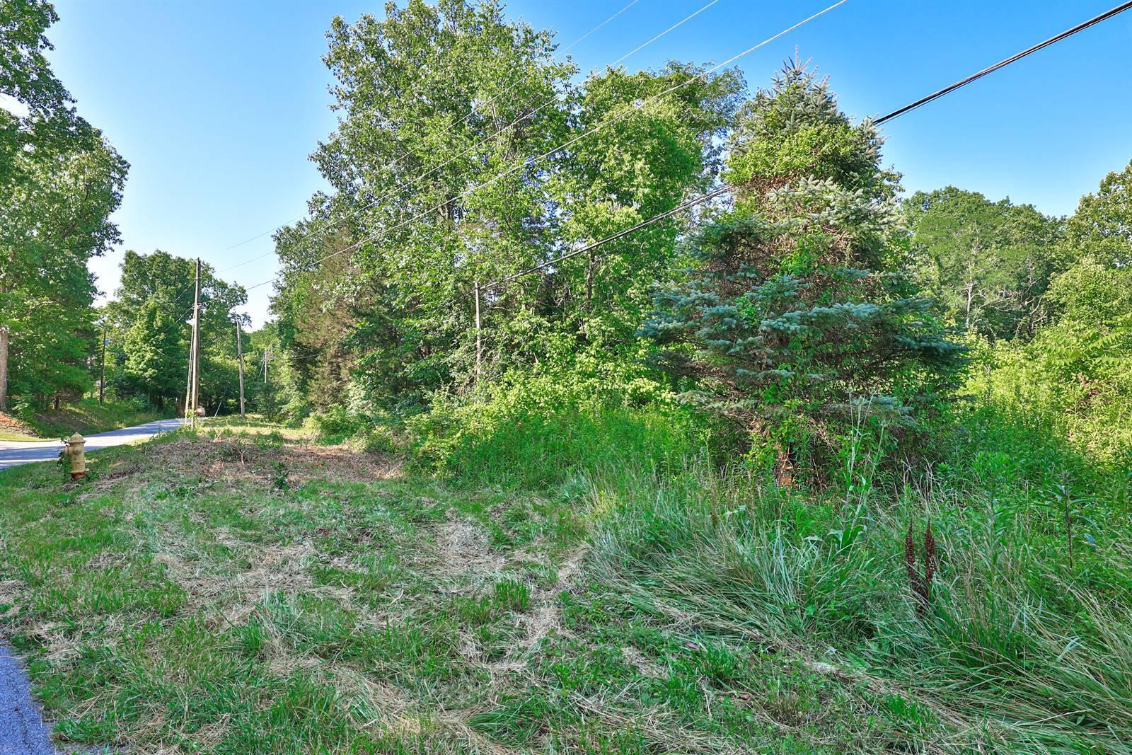 1664 Redstone Road Alexandria, KY 41001 - Photo 4 of 11 Gallery Image 4