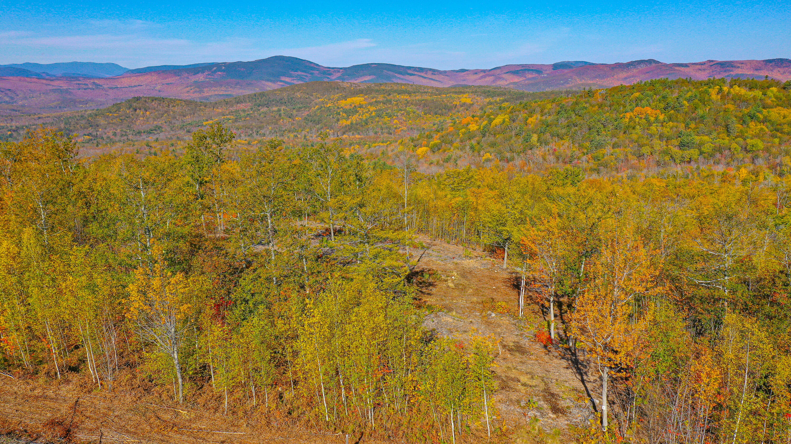 Lot 4 Mine Road Stoneham, ME 04231 - Photo 2 of 5 merrill farm-5