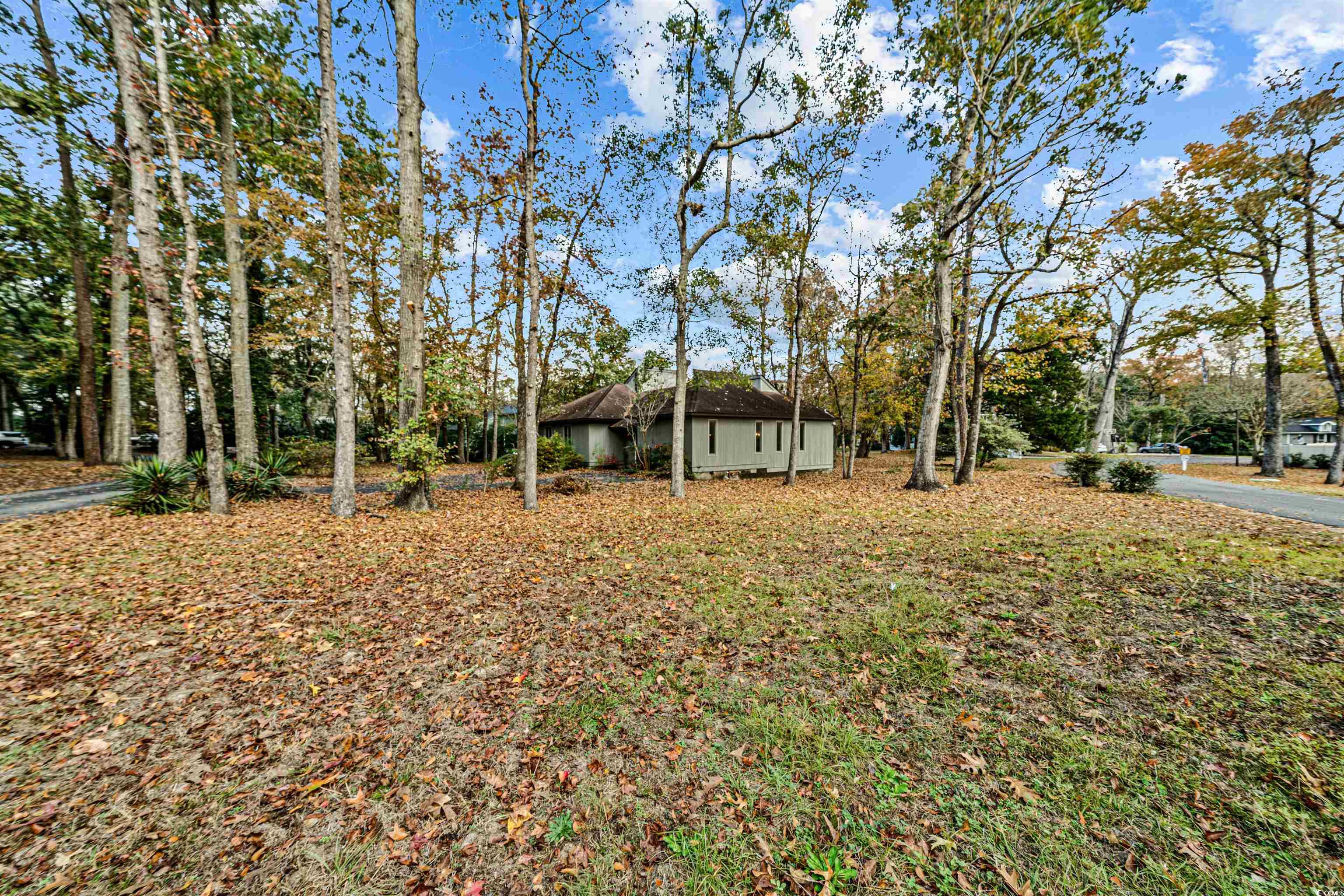 874 Old Bridge Road Myrtle Beach, SC 29572 - Photo 29 of 39 Gallery Image 29
