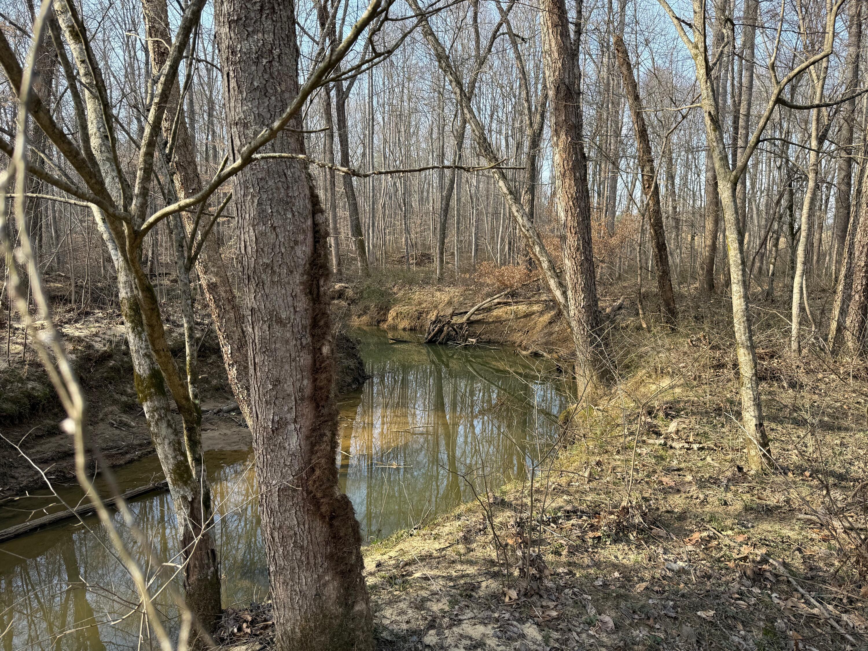 0 Westerfield Road London, KY 40744 - Photo 4 of 23 IMG_0026