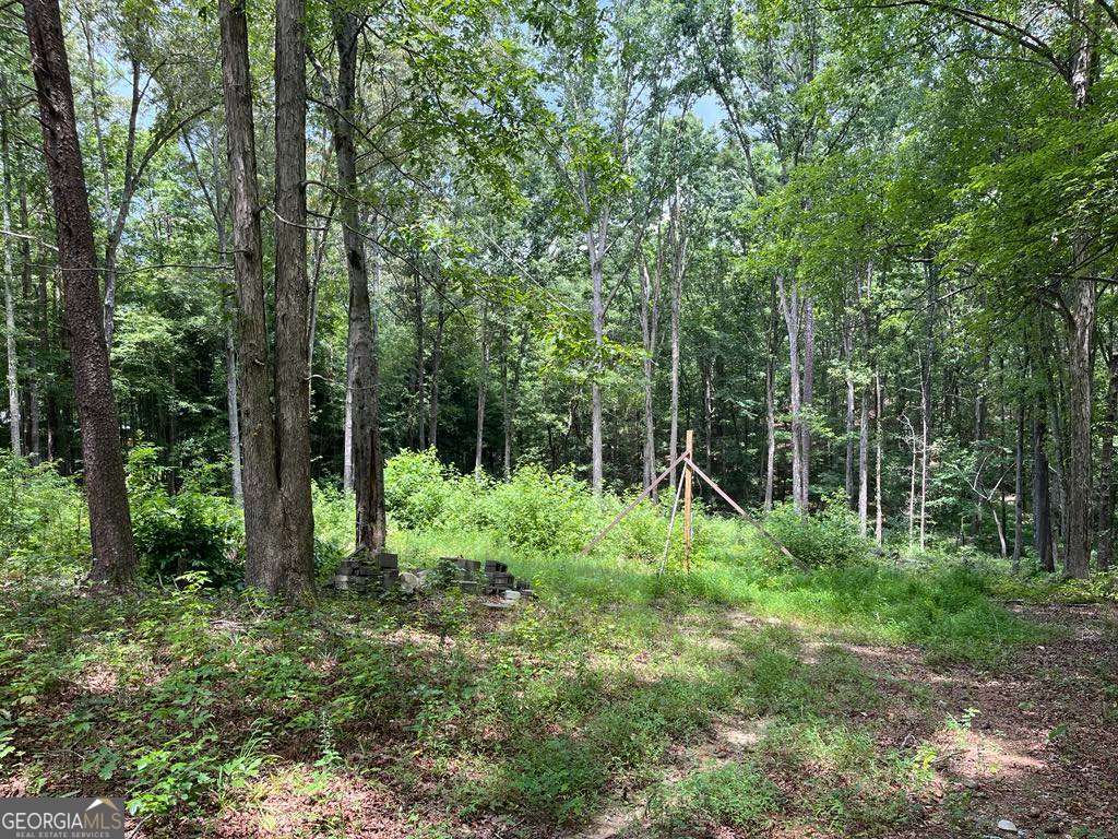 0 Buttrum Road Adairsville, GA 30103 - Photo 12 of 17 a backyard of a house with lots of green space