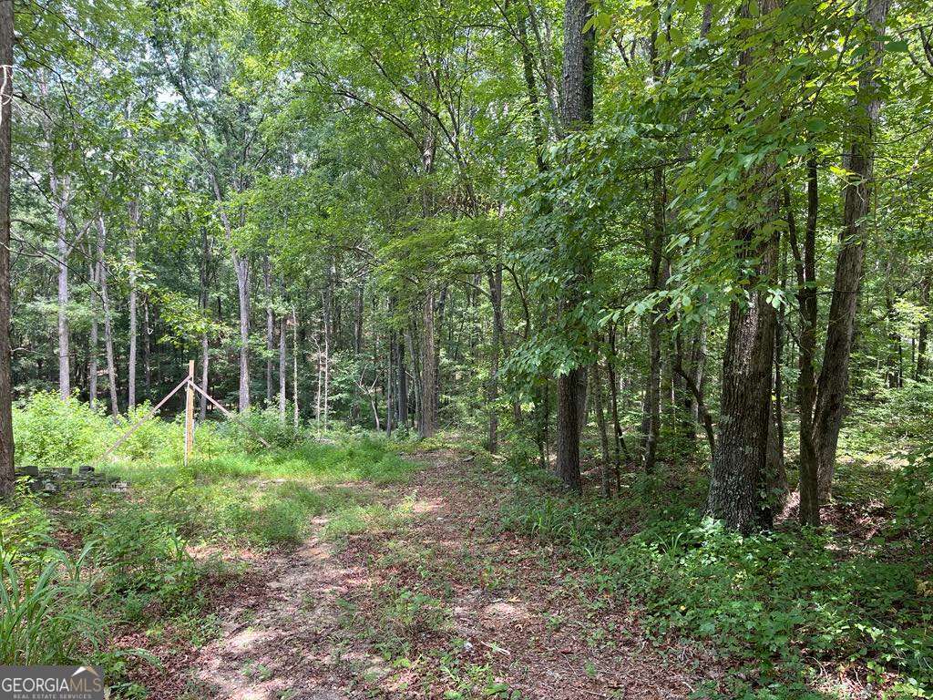 0 Buttrum Road Adairsville, GA 30103 - Photo 13 of 17 a view of a lush green forest