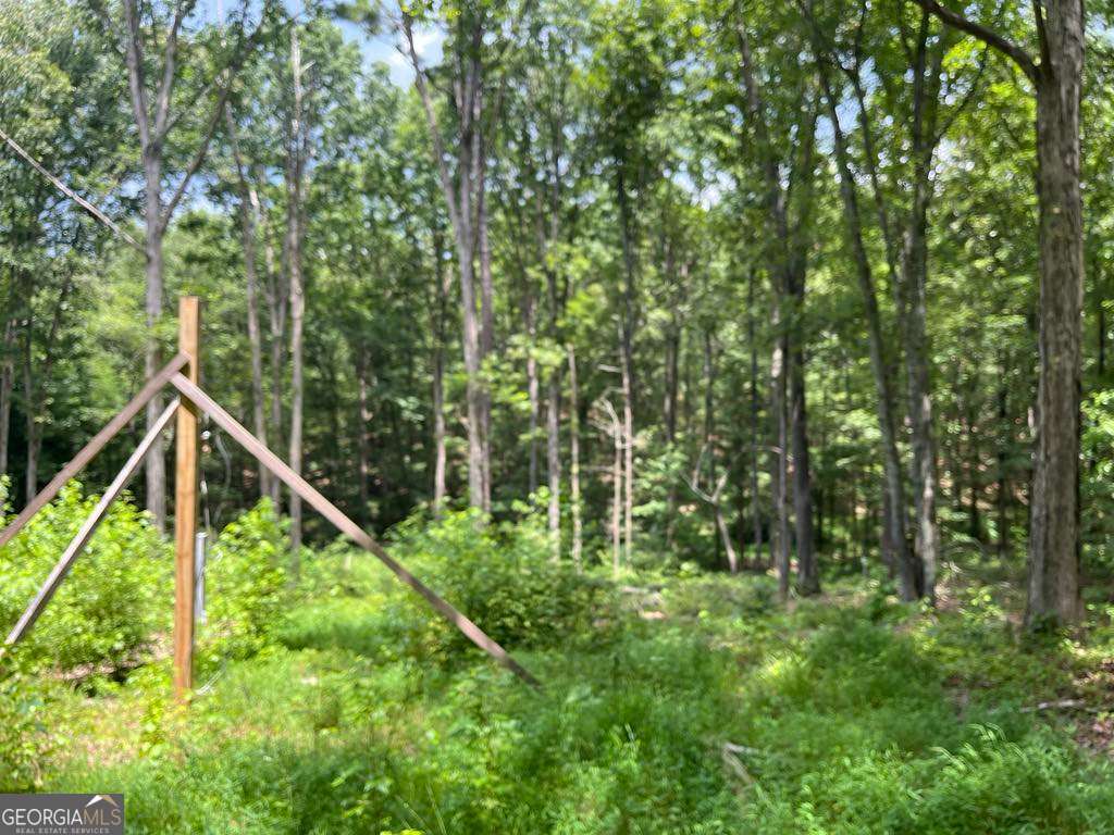 0 Buttrum Road Adairsville, GA 30103 - Photo 15 of 17 a view of an outdoor space and trees