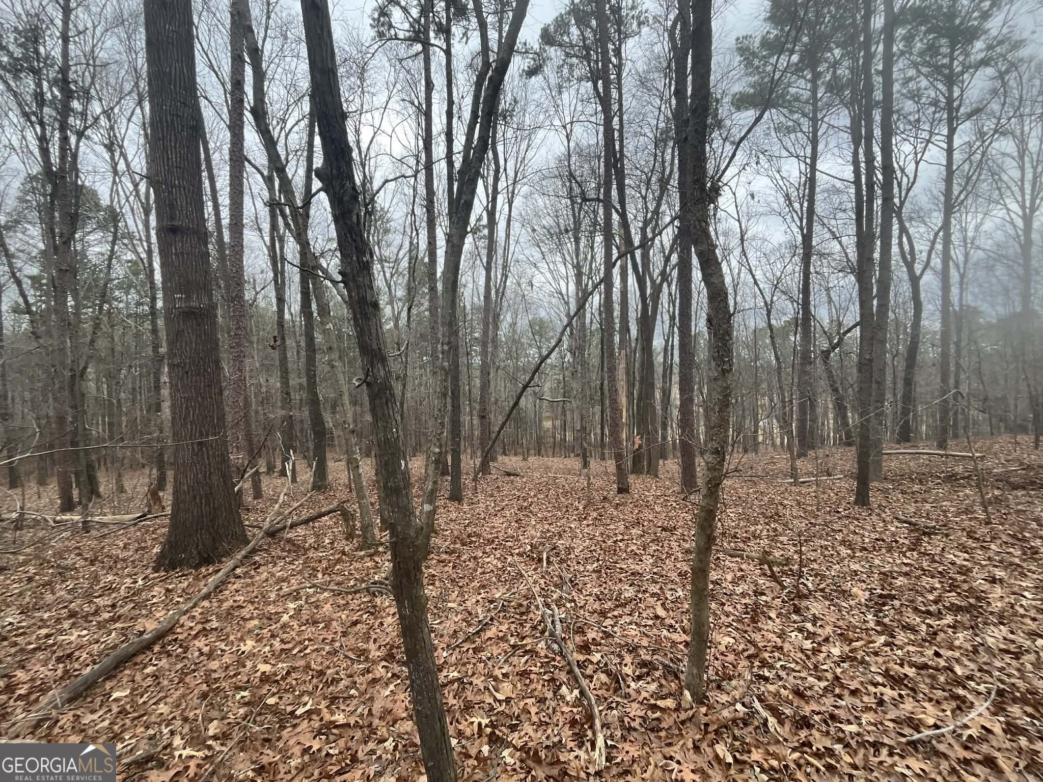 0 Buttrum Road Adairsville, GA 30103 - Photo 5 of 17 a view of a yard with trees in the background