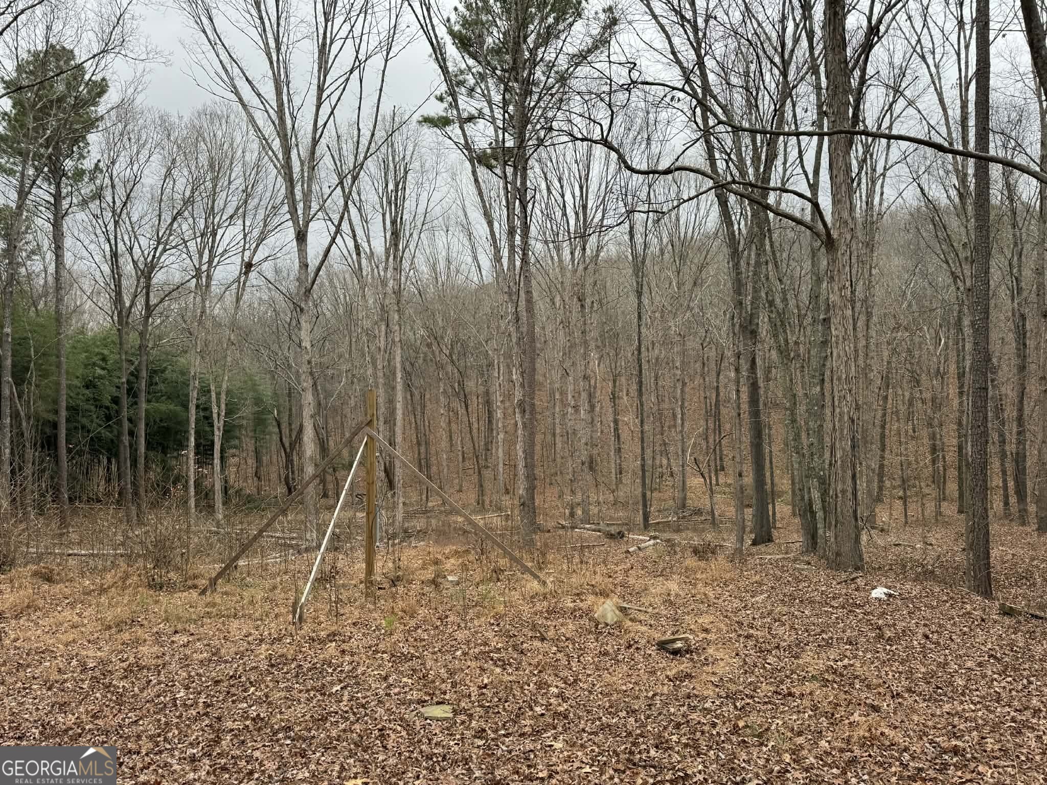 0 Buttrum Road Adairsville, GA 30103 - Photo 8 of 17 a backyard of a house with lots of green space
