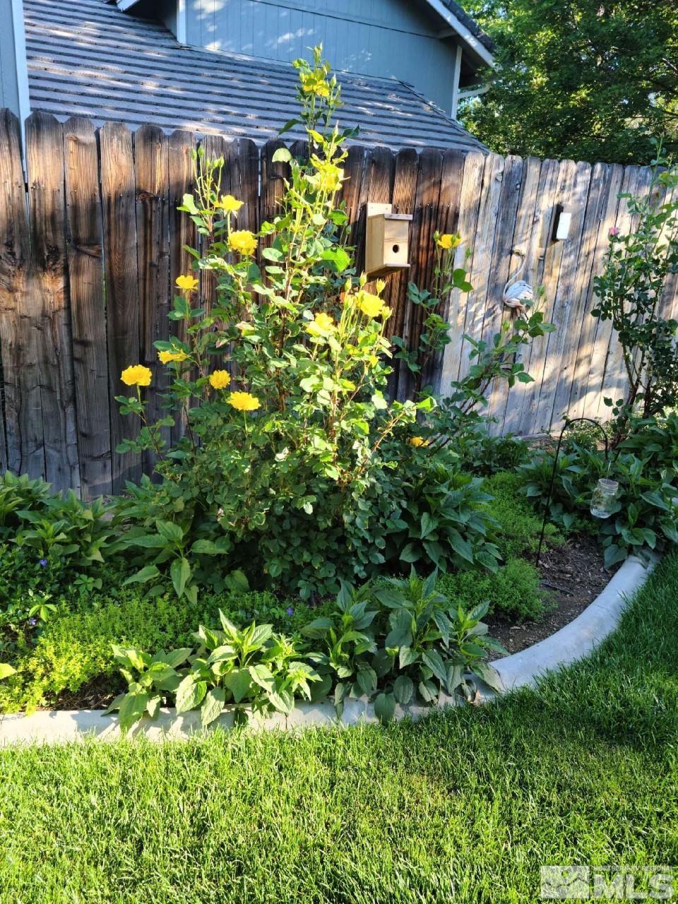 6444 Brookview Circle Reno, NV 89519 - Photo 32 of 32 a backyard of a house with lots of green space