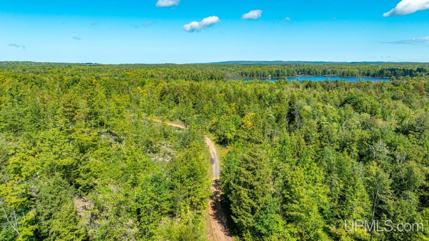 Horseshoe Lake Road Toivola, MI 49965 - Photo 29 of 70 Gallery Image 29